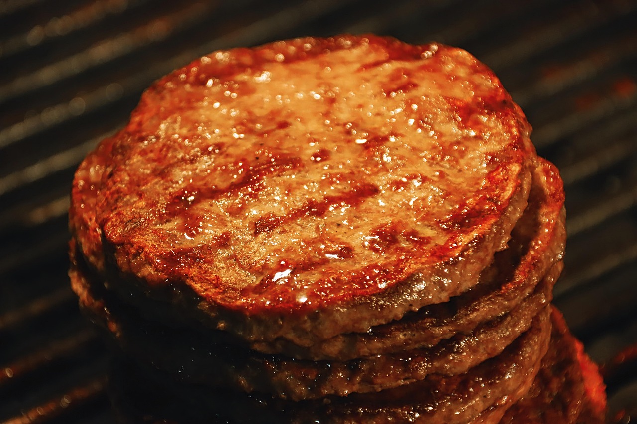burger, patties, minced meat, meat, grilled meat, grilling, food, nourishment, burger, patties, patties, patties, patties, patties, grilled meat-7718310.jpg